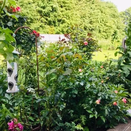 Am Eichberg * Wieck auf dem Darss